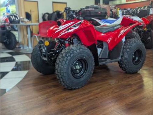 Discover the TRX90X, Honda’s reliable youth ATV featuring an 86cc 4-stroke engine, automatic transmission, and safe, easy handling. Perfect for young riders
