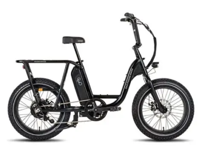 The Rad Power RadRunner Max combines a 750 W geared hub motor, 672 Wh battery, passenger package, and rugged utility frame to deliver unmatched versatility.