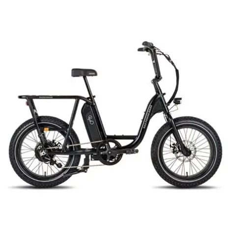 The Rad Power RadRunner Max combines a 750 W geared hub motor, 672 Wh battery, passenger package, and rugged utility frame to deliver unmatched versatility.