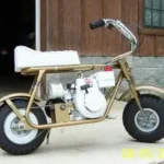The candy gold stock minibike delivers eye-catching metallic styling with reliable factory performance. Discover features, engine specs, riding comfort
