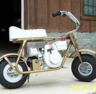 The candy gold stock minibike delivers eye-catching metallic styling with reliable factory performance. Discover features, engine specs, riding comfort