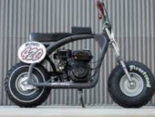 coleman mini bike custom